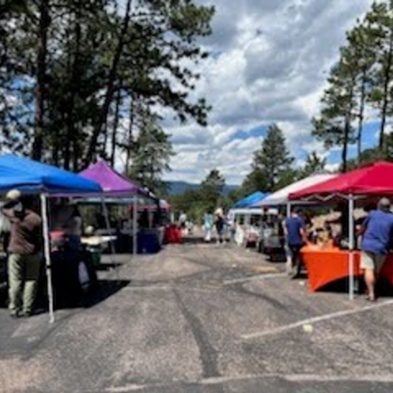 overview of the local business market vendor booths